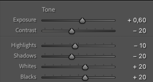 Exposure and Contrast
