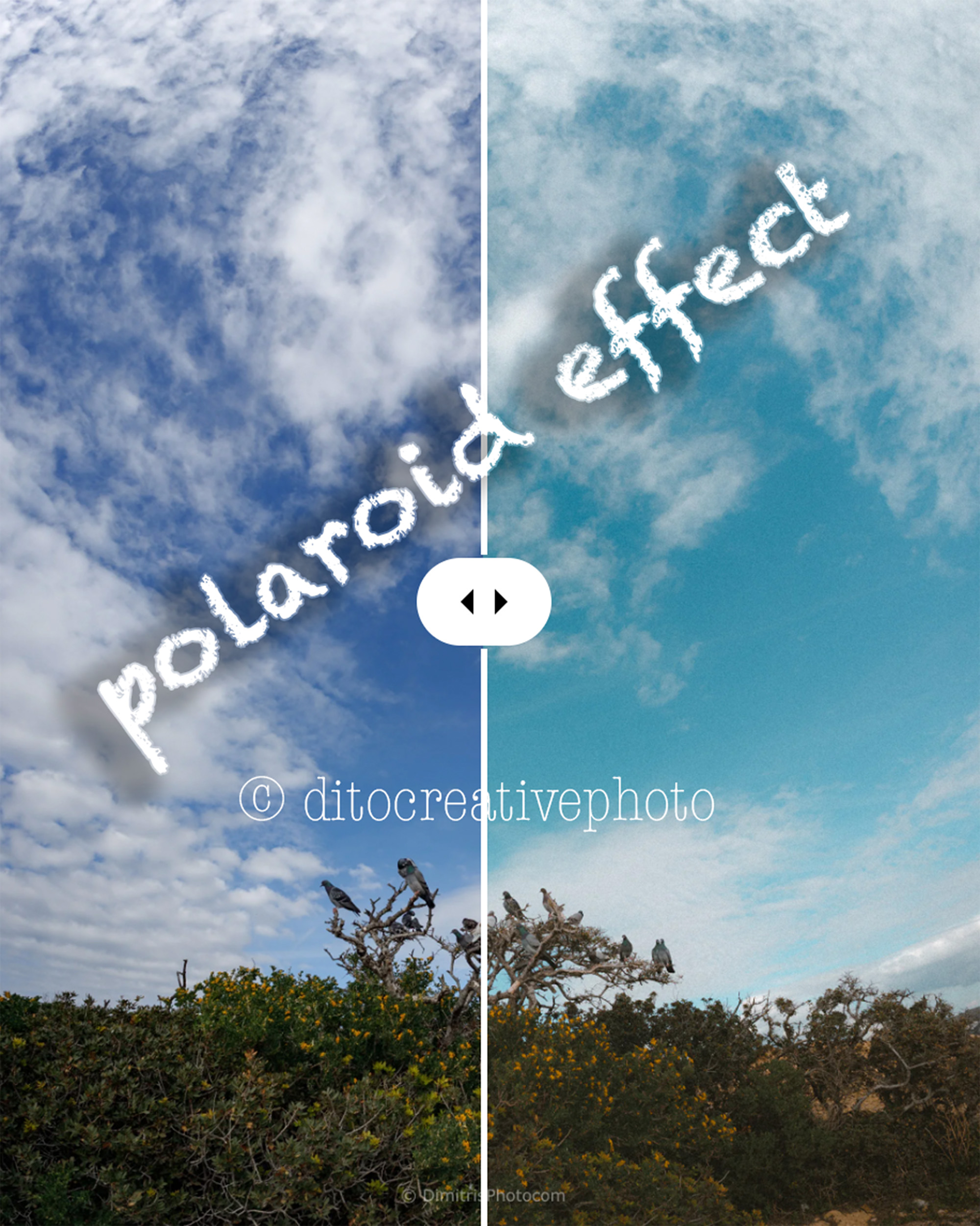 polaroid effect